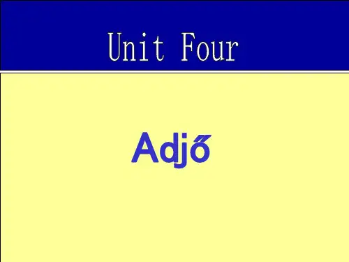 新世纪英语高二第一学期Module Two  unit 4(共19张PPT)