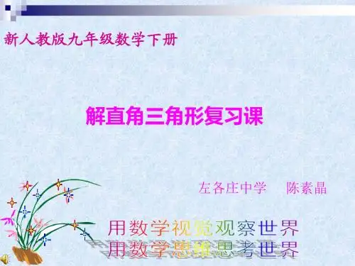 解直角三角形及应用复习课