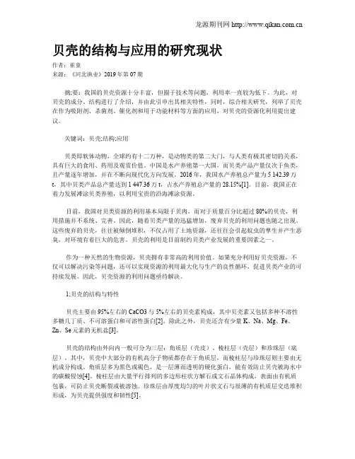 贝壳的结构与应用的研究现状