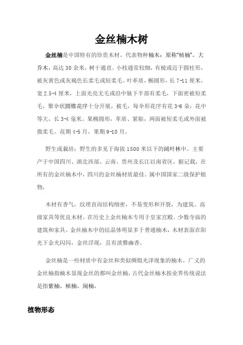 金丝楠木树