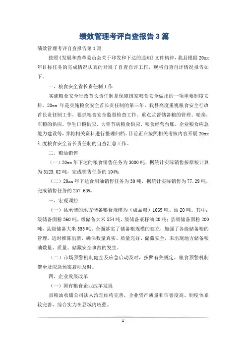 绩效管理考评自查报告3篇