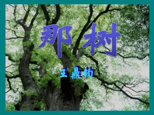 《那树》PPT精选教学课件6