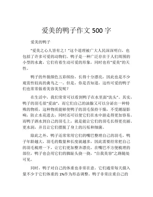 爱美的鸭子作文500字