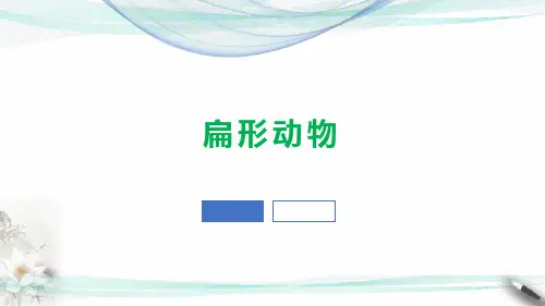 部编生物八年级上册腔肠动物和扁形动物
