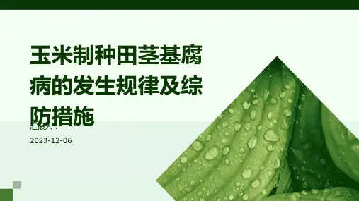 玉米制种田茎基腐病的发生规律及综防措施