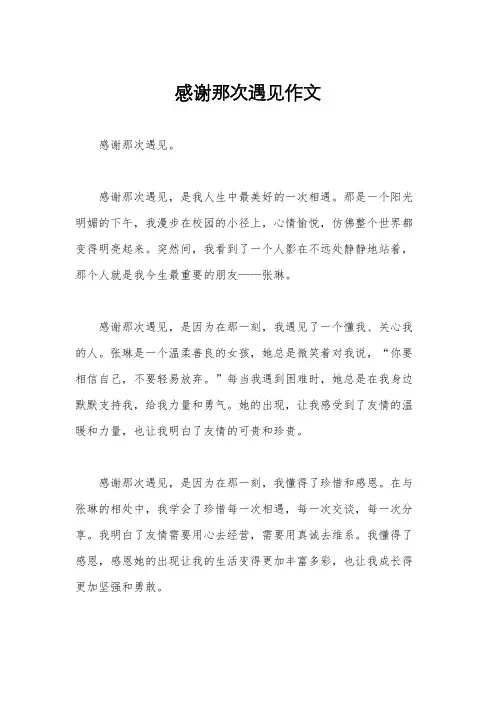 感谢那次遇见作文