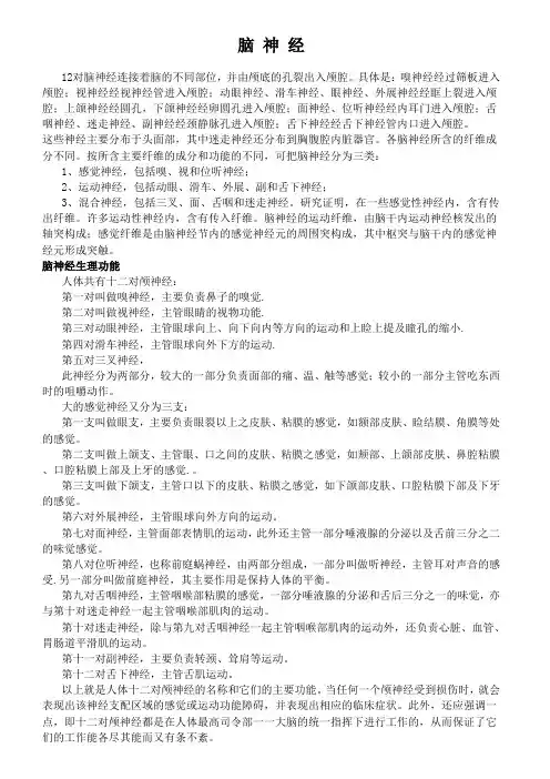 脑神经