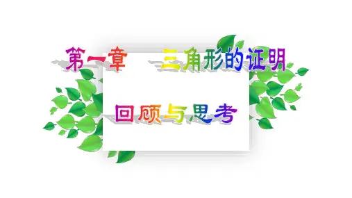 北师大版数学八年级下册 期末总复习课件(共20张PPT)
