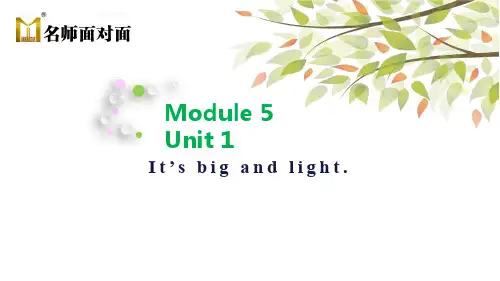 外研版WY英语五年级下册Module 5 Unit 1 It's big and light