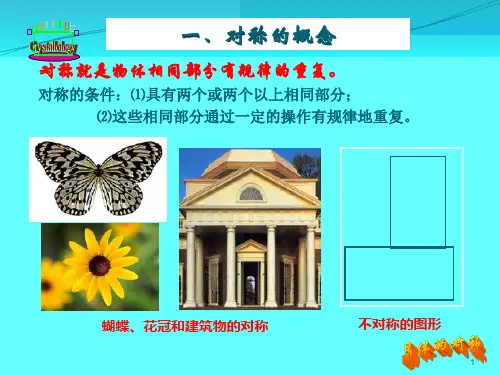 晶体的宏观对称元素