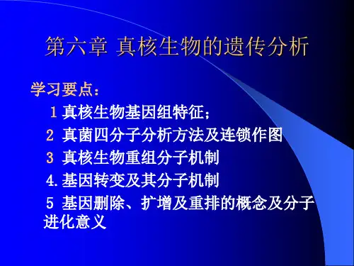 第六章真核生物的遗传分析