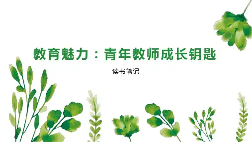 教育魅力：青年教师成长钥匙