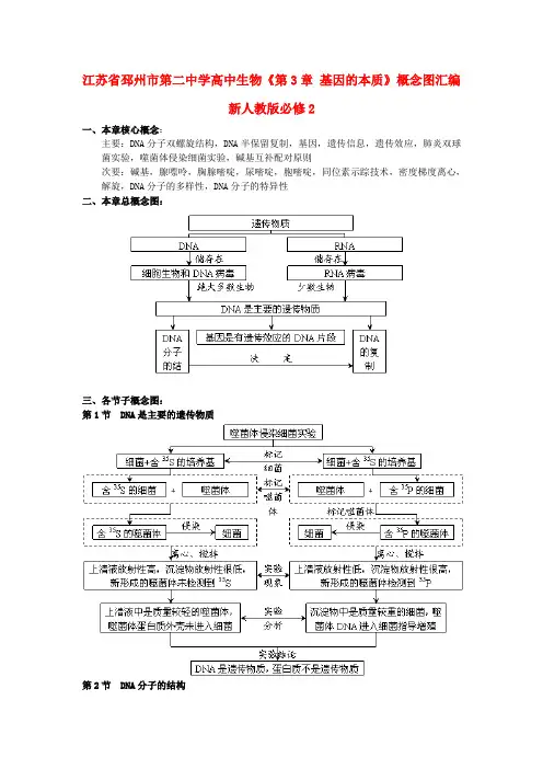 高中生物《第3章 基因的本质》概念图汇编 新人教版必修2