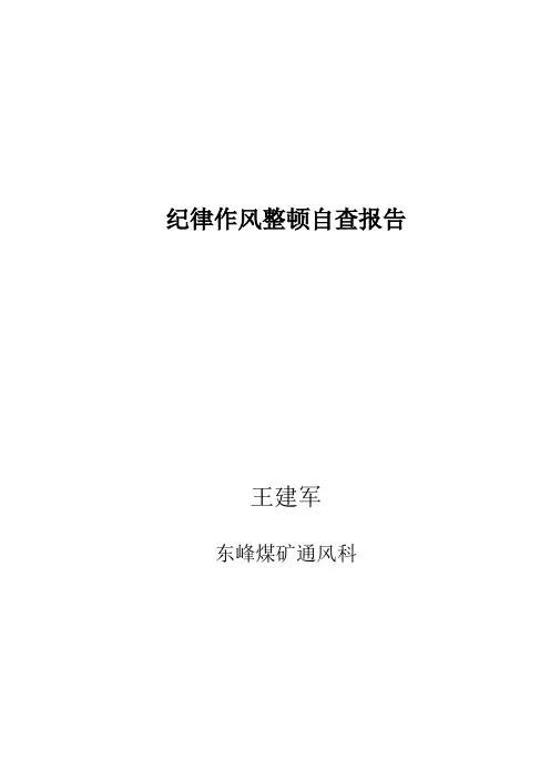 纪律作风整顿个人自查报告