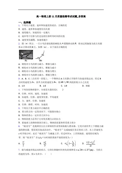 高一物理上册11月质量检测考试试题_含答案