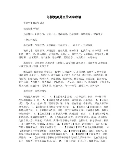 怎样赞美男生的四字成语