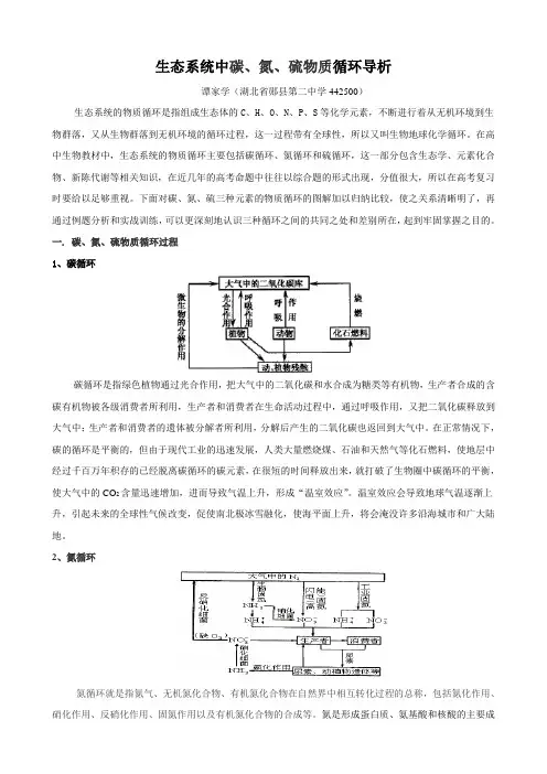 生态系统中碳、氮、硫物质循环导析