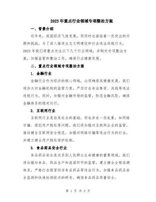 2023年重点行业领域专项整治方案