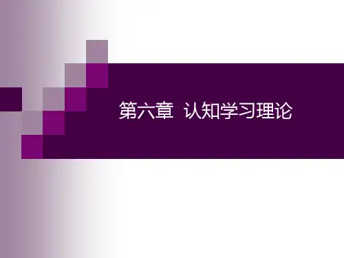 六认知学习理论概要