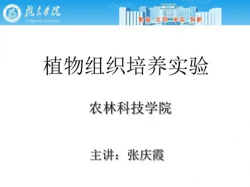 植物组织培养试验课件