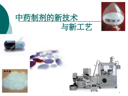 中药制剂的新技术与新工艺 ppt