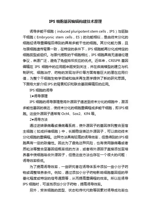 IPS细胞基因编辑构建技术原理