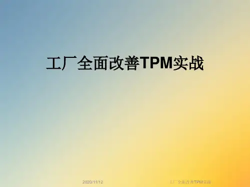 工厂全面改善TPM实战