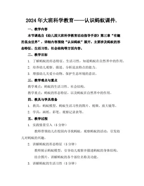 2024年大班科学教育——认识蚂蚁课件.