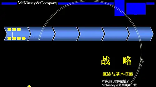 战略咨询培训手册课件(PPT 93页)