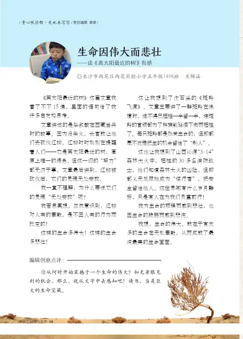 生命因伟大而悲壮——读《离太阳最近的树》有感