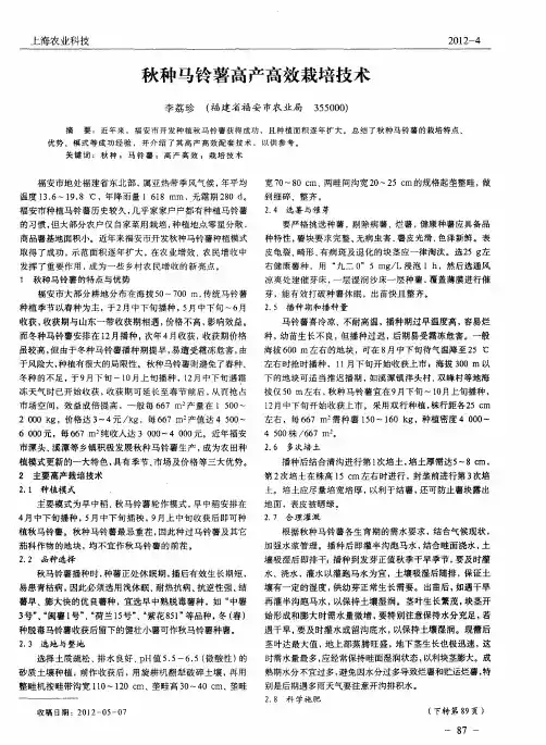 秋种马铃薯高产高效栽培技术