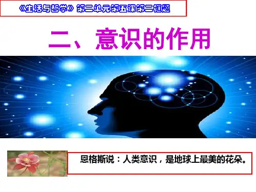 人教版高中政治必修四课件：5.2意识的作用(共27张PPT)