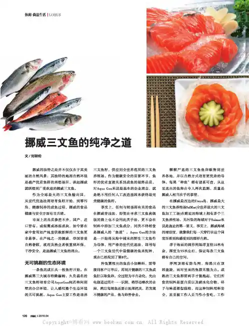 挪威三文鱼的纯净之道