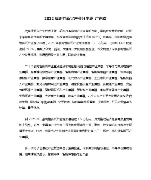 2022战略性新兴产业分类表-广东省