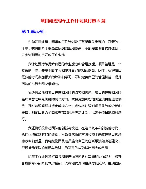 项目经理明年工作计划及打算6篇