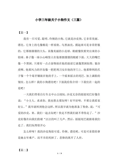 小学三年级关于小狗作文(三篇)