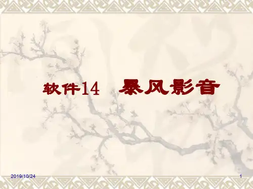 软件14 暴风影音