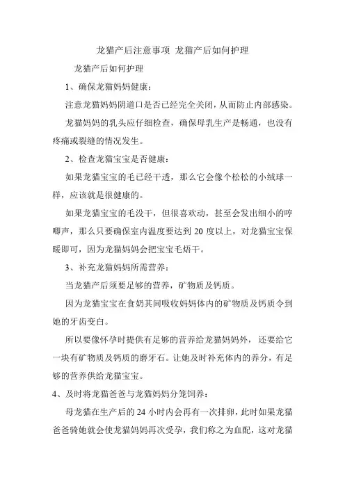 龙猫产后注意事项 龙猫产后如何护理
