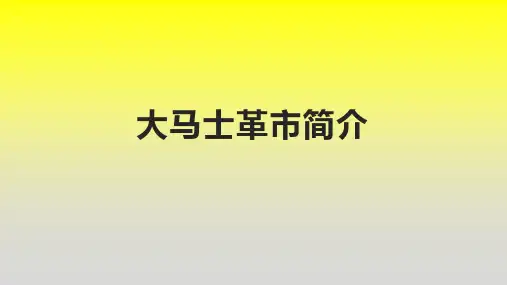 大马士革市简介
