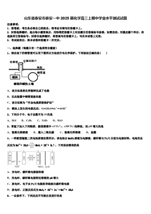 山东省泰安市泰安一中2025届化学高三上期中学业水平测试试题含解析