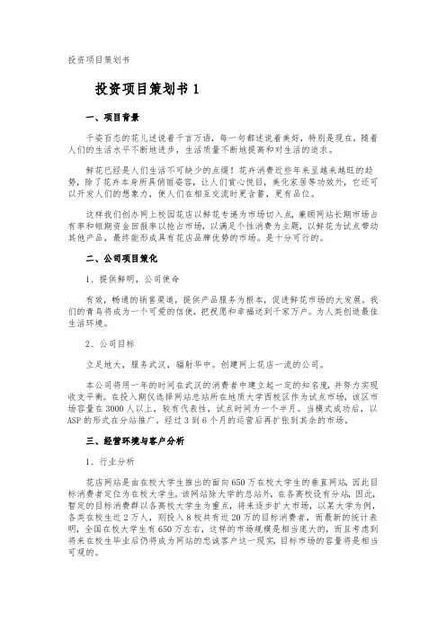 投资项目策划书