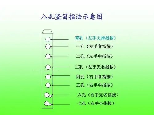 八孔竖笛吹法