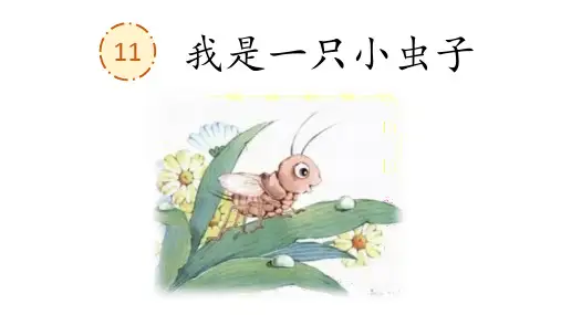 人教(部编)二年级语文下册第11课《我是一只小虫子》PPT