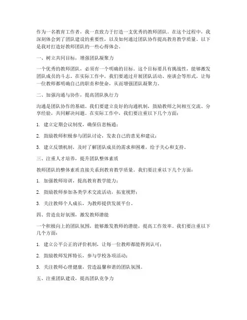 打造好教师团队心得体会