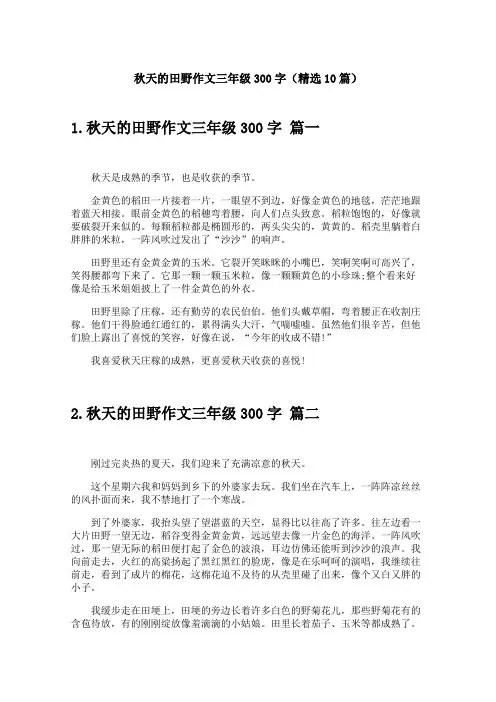 秋天的田野作文三年级300字(精选10篇)