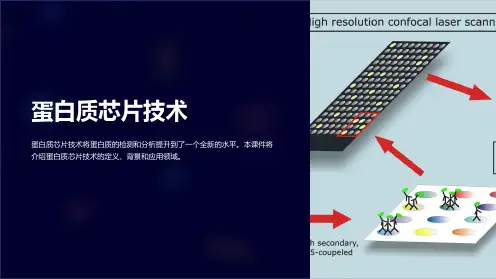 《蛋白质芯片技术》课件