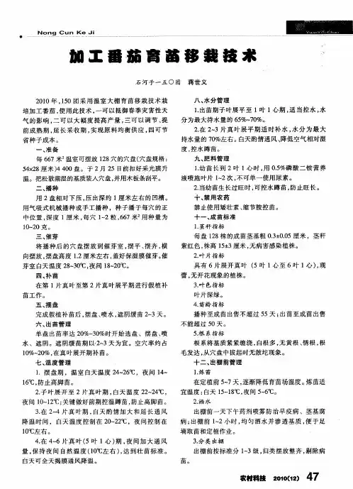 加工番茄育苗移栽技术