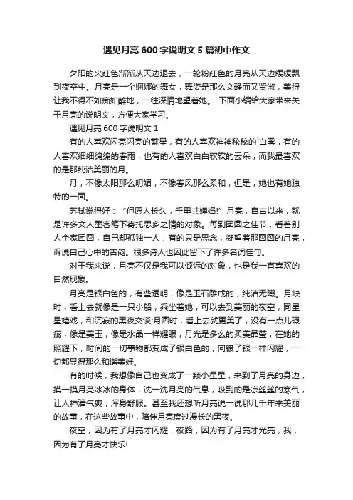 遇见月亮600字说明文5篇初中作文