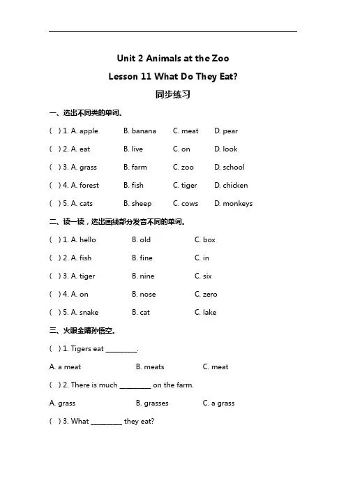 冀教版三年级下册英语 Lesson 11 同步练习及答案
