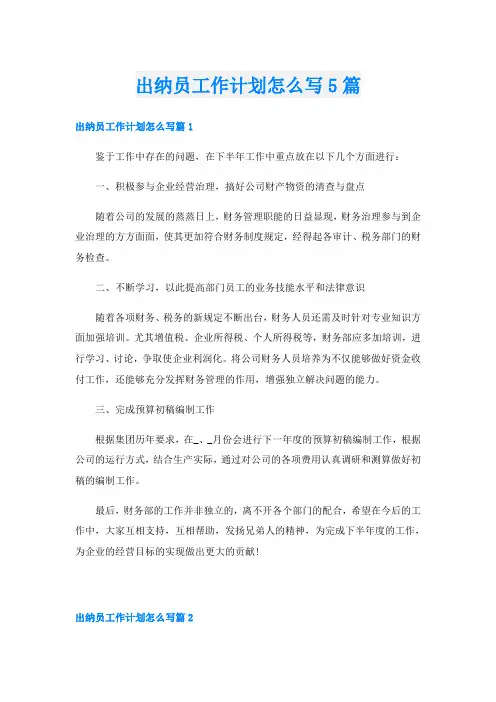 出纳员工作计划怎么写5篇